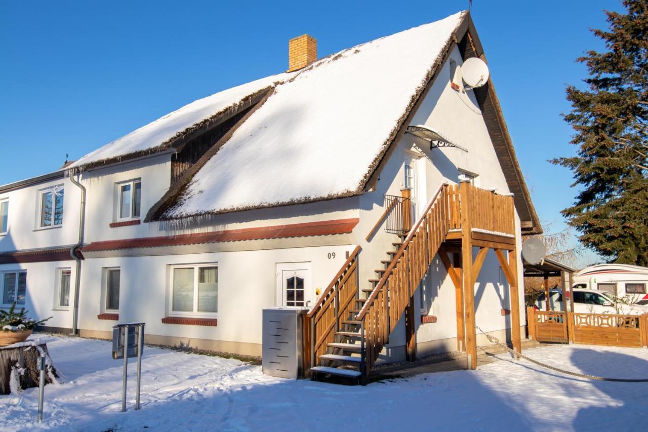 Ferienwohnung Sonnenseite 프리스트 외부 사진